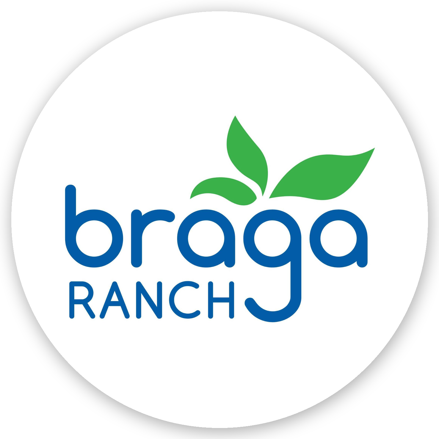 Braga Fresh logo
