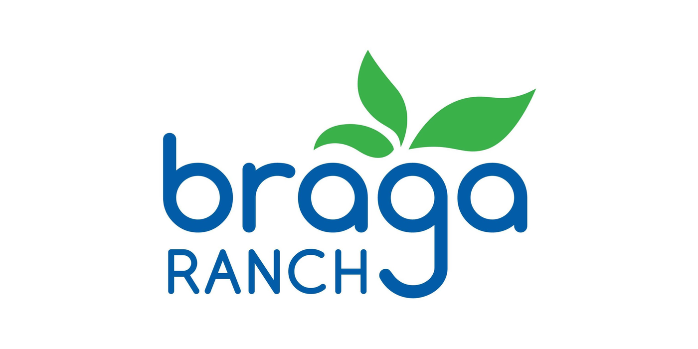Braga Fresh logo